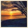Ausolet