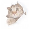 Meow Meow