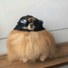 Kiweel