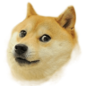 memesrlife