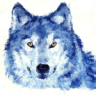 NiteWolfXD