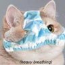 saimonsimon