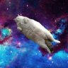 InTheClouds