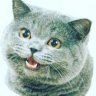 CatPRO