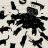 Syoi