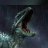 Storm9499399