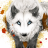 ronykun7