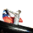Hanzeleid