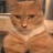 LordMeow