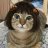 catlirious