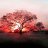 Wildfirestrm