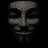 anonymous user