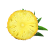 apenasranier