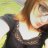 Robinlyoung07