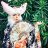 MomijiMizuka