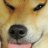 HotDoge
