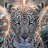 MarJaguar
