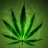 Chronic