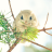 Winslie