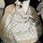 The Question