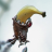 fatalbanana