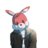CookiesBunny