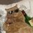 ghistvam