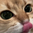 Lauz