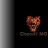 Chaos17